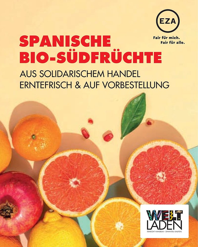 Eine bunte Auswahl an geschnittenen Zitrusfrüchten wie Orangen, Grapefruits und Zitronen ist auf gelbem Hintergrund abgebildet.
