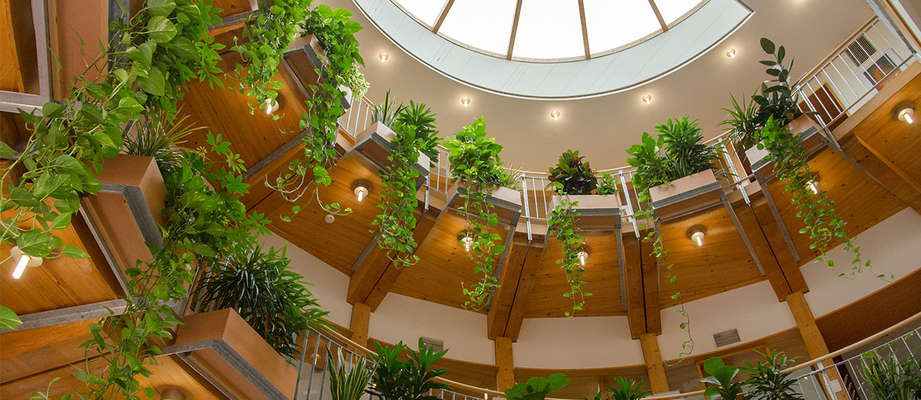 Blick nach oben in ein kreisförmiges Atrium mit Holzbalken und Oberlicht, in dem üppige grüne Pflanzen von den Balkonen auf mehreren Ebenen herabhängen.