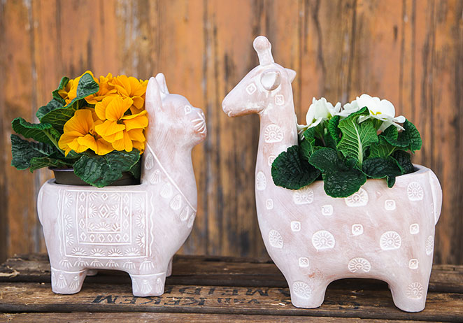 Zwei Keramikpflanzgefäße in Tierform, von denen eines einem Lama und das andere einer Giraffe ähnelt, enthalten leuchtend gelbe und weiße Blumen mit grünen Blättern vor einem rustikalen Holzhintergrund.